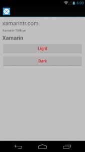 Xamarin Forms Dynamic Resource Android