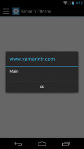 Xamarin Forms Android Design