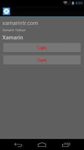 Xamarin Forms Dynamic Resource Android