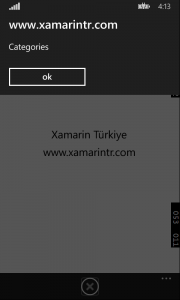 Xamarin Forms WinPhone Design
