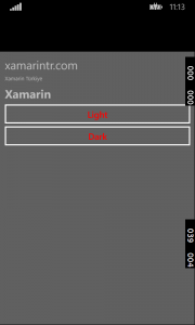 Xamarin Forms Dynamic Resource WinPhone